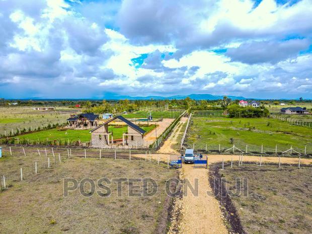 Affordable Prime Plots