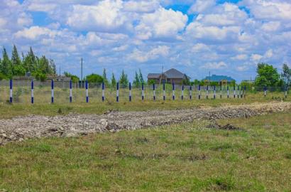 Affordable Plots in Katani
