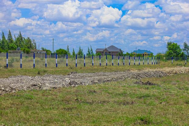 Affordable Plots in Katani