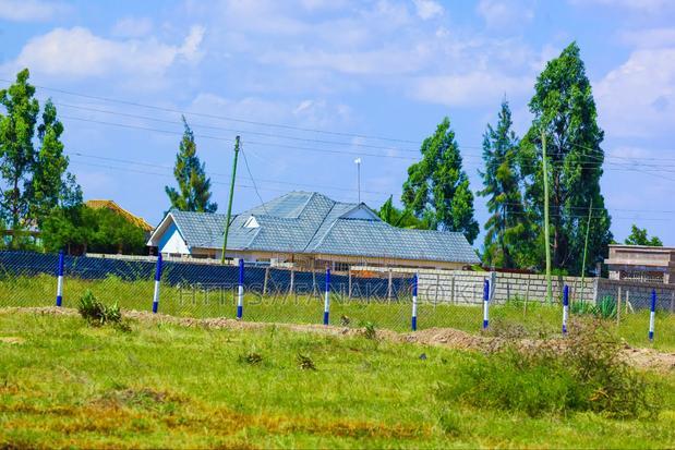 Touching Katani Rd