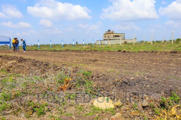 Investor's Paradise. Low Cost, High Value Kamakis.