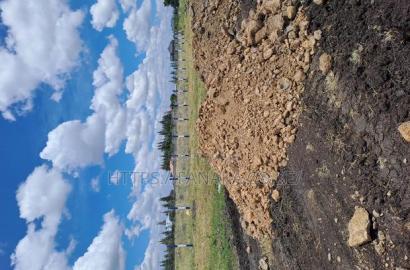 Katani Plots for Sale 1.6M Ww^