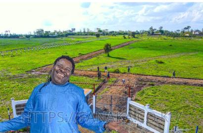 Lipa Mdogo Mdogo for the Kamulu Plots