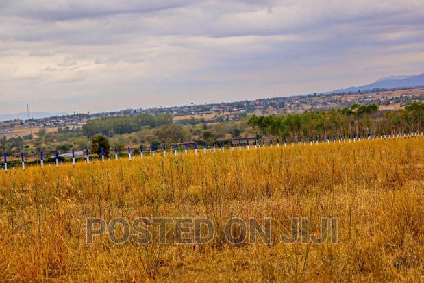 Kamulu Views