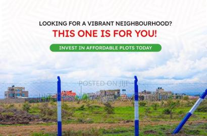 Cheap Plots in Silicon Valley Kamakis