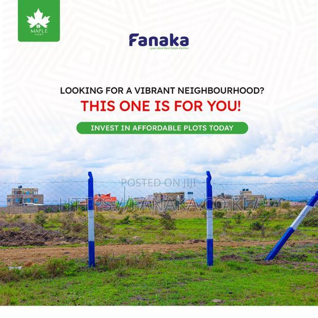 Cheap Plots in Silicon Valley Kamakis