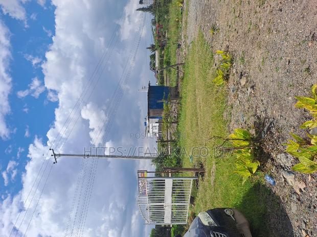1/8th Acre Plots Near Katani Town Ww^