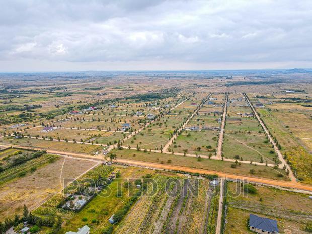 50 by 100 Plots in Koma.