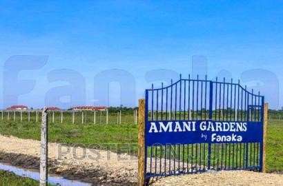 300 Meters From Tarmac Plots in Koma Mw^