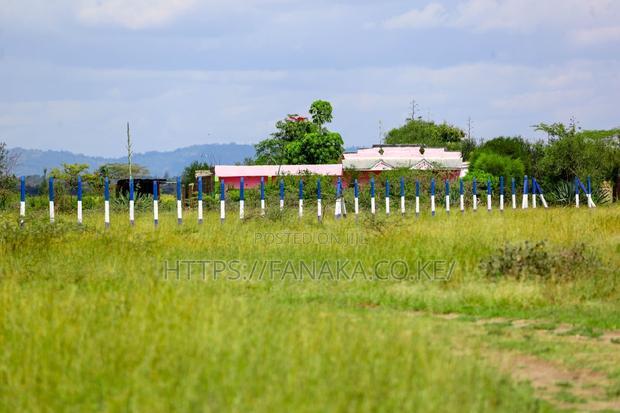 Malaa Plots