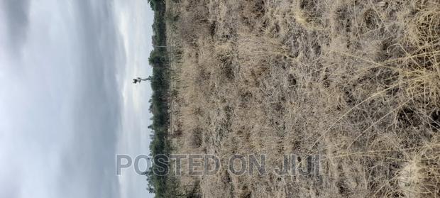Plots for Sale