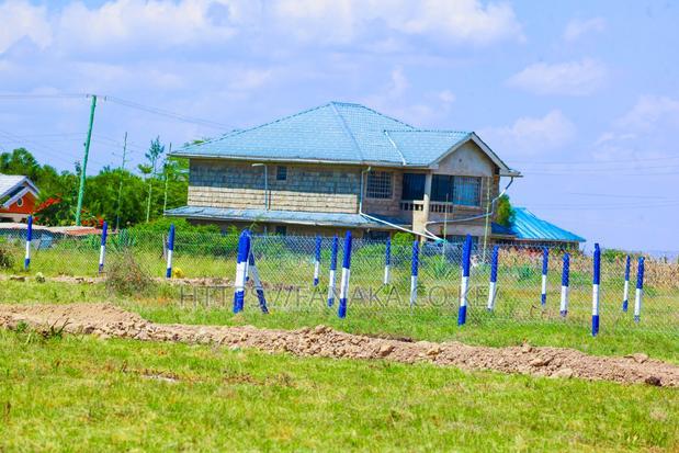 Katani Plots at 1.6M
