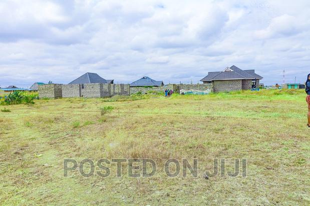 Murera Plots