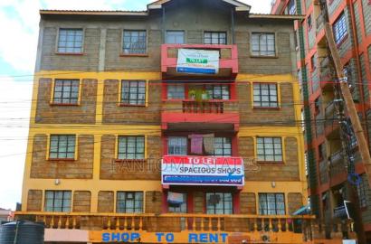3bdrm Block of Flats in Ruiru Town, Old Junction for sale
