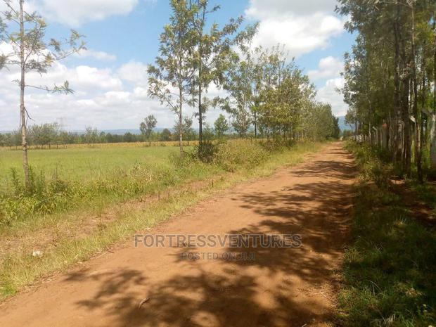 50*100 Plota Near Simba Cement, Rongai, Nakuru