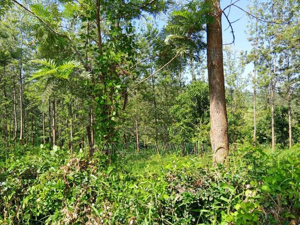 One Acre in Mugutha Ruiru,Neighbouring Githegi Bay