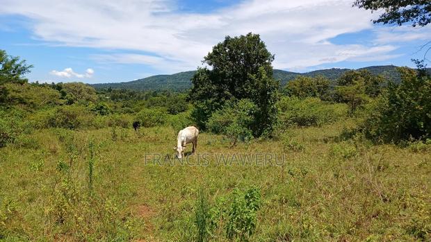 2.5 Acres on Quick Sale in Murang'a at 5m(Whole)