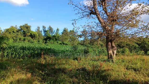 2 Acres for Sale in Sabasaba, Maragua.