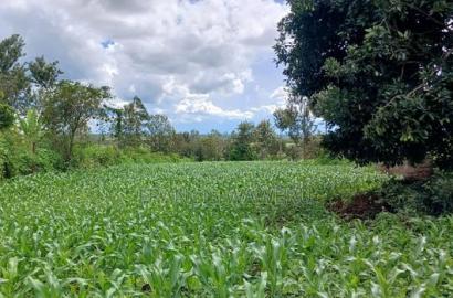 3 Acres for Sale in Sabasaba, Maragua.