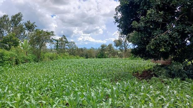 3 Acres for Sale in Sabasaba, Maragua.