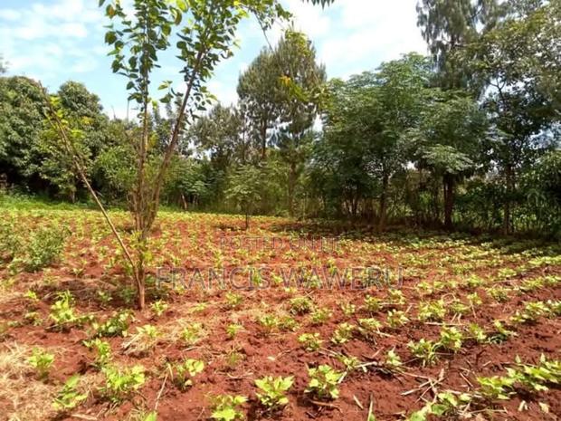 Prime Half an Acre(0.262 Ha)Fronting a River,Mugutha Ruiru.