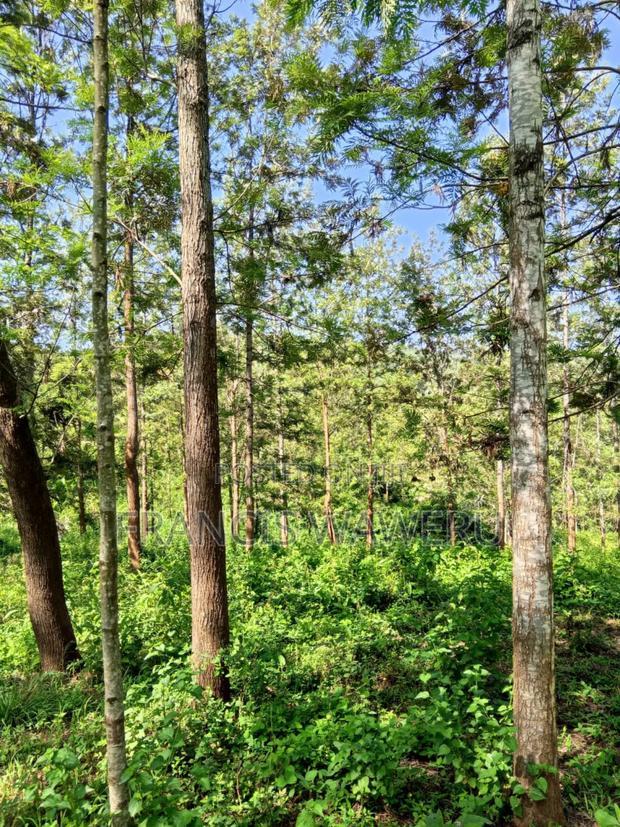 One Acre in Mugutha Ruiru,Neighbouring Githegi Bay