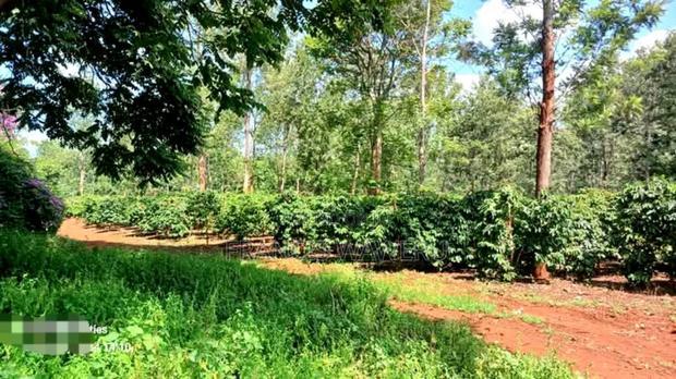 92 Acres for Sale,Thika-Gatanga Highway.