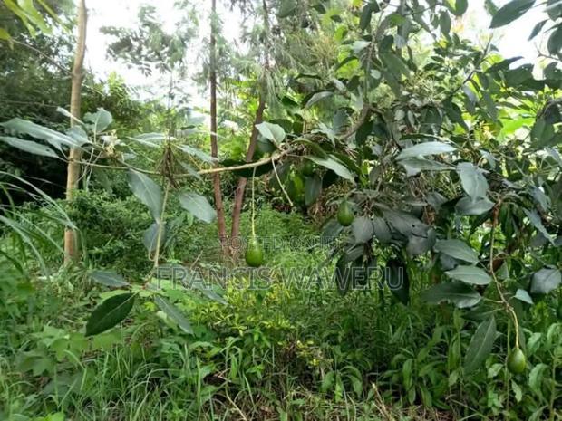 Prime Half an Acre(0.262 Ha)Fronting a River,Mugutha Ruiru.