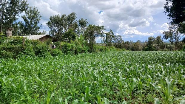 3 Acres for Sale in Sabasaba, Maragua.