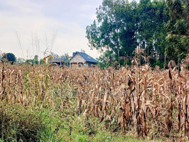 4 PlotsKsh 2.5m EachMugutha,Ruiru.