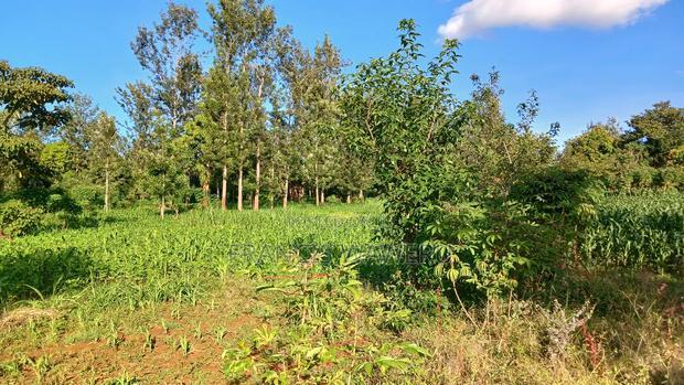 2 Acres for Sale in Sabasaba, Maragua.