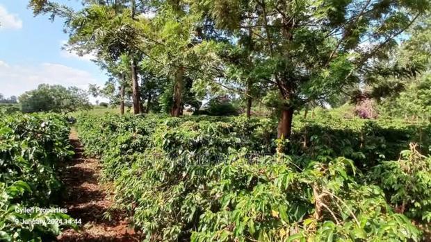 92 Acres for Sale,Thika-Gatanga Highway.