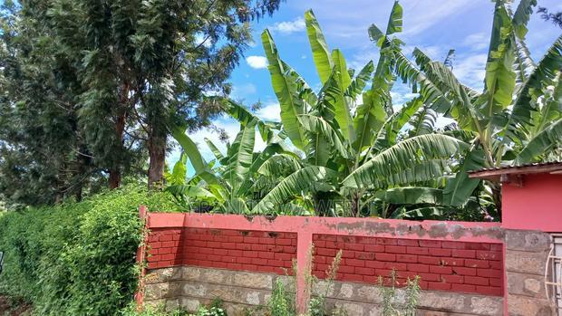 2.5 Acres on Quick Sale in Murang'a at 5m(Whole)
