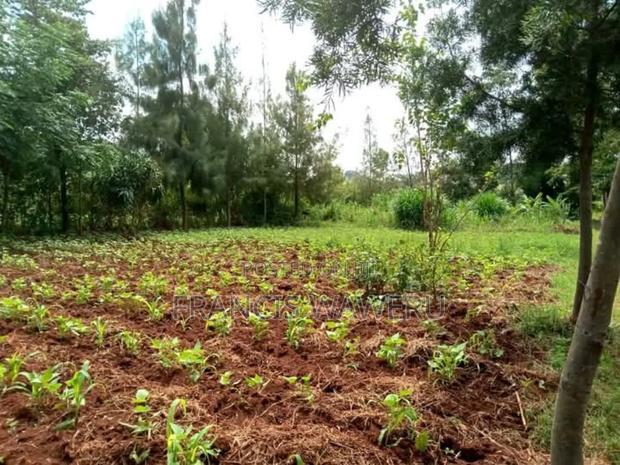 Prime Half an Acre(0.262 Ha)Fronting a River,Mugutha Ruiru.