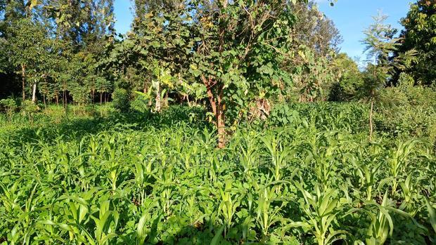 2 Acres for Sale in Sabasaba, Maragua.