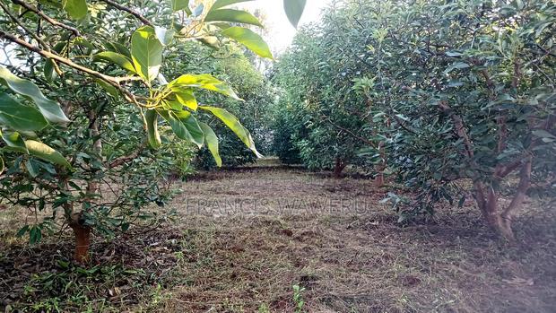 Prime 4 Acres in Sabasaba, Maragua.