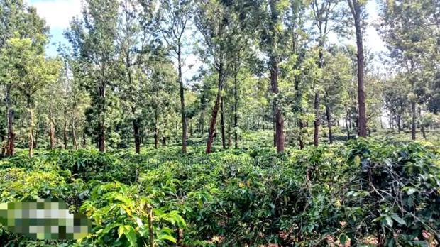 92 Acres for Sale,Thika-Gatanga Highway.