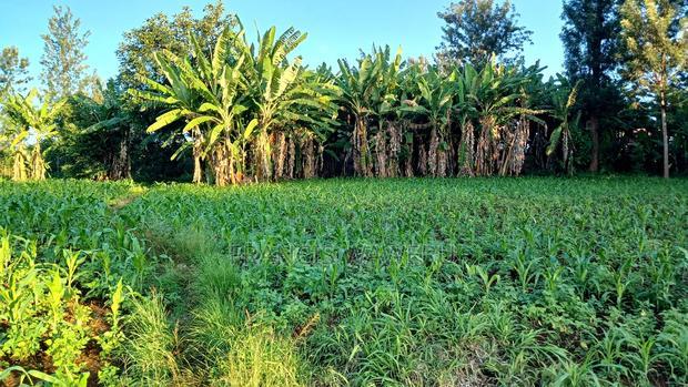 Prime 4 Acres in Sabasaba, Maragua.
