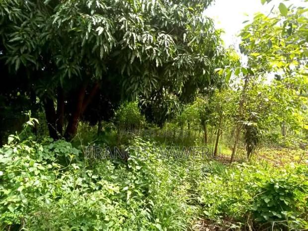 Prime Half an Acre(0.262 Ha)Fronting a River,Mugutha Ruiru.