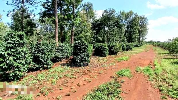 92 Acres for Sale,Thika-Gatanga Highway.