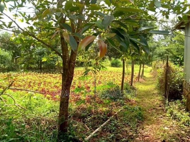 Prime Half an Acre(0.262 Ha)Fronting a River,Mugutha Ruiru.