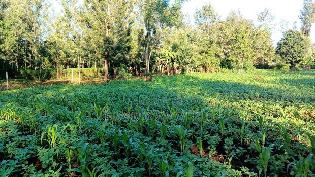 Prime 4 Acres in Sabasaba, Maragua.