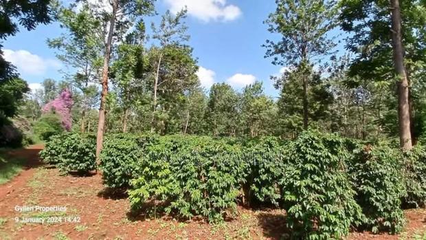 92 Acres for Sale,Thika-Gatanga Highway.