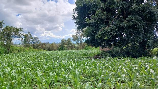 3 Acres for Sale in Sabasaba, Maragua.