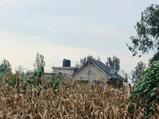 4 PlotsKsh 2.5m EachMugutha,Ruiru.