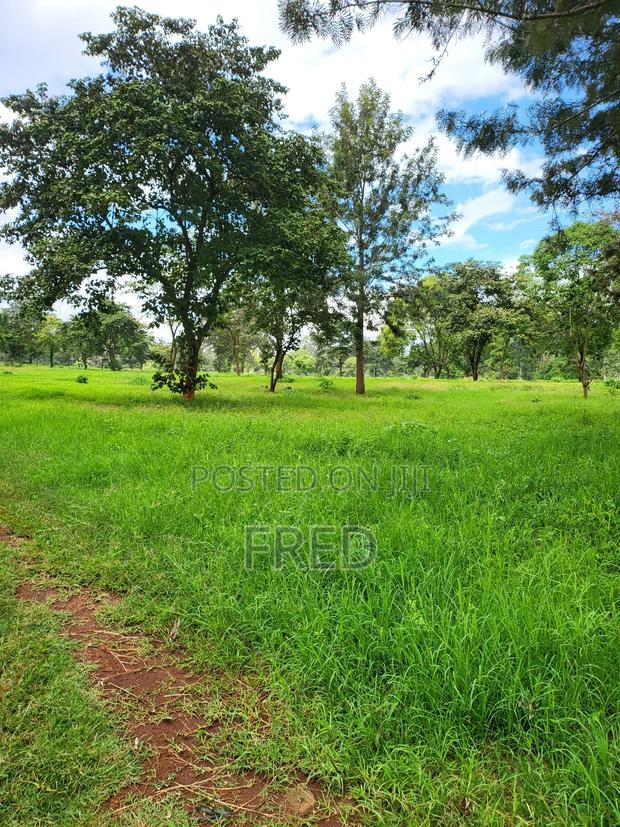 Juja Commerce Plots