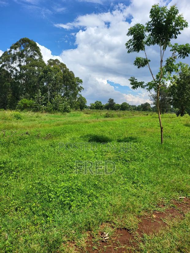 Juja Commerce Plots
