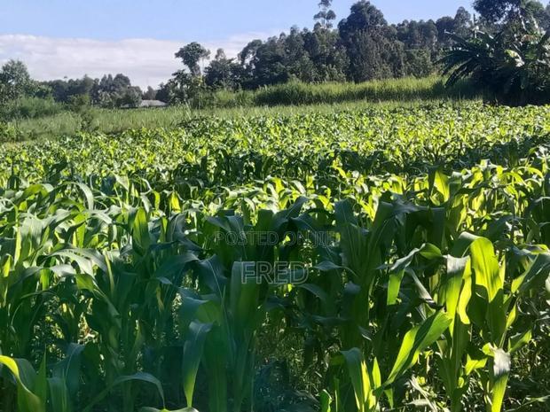 Juja Commerce Plots
