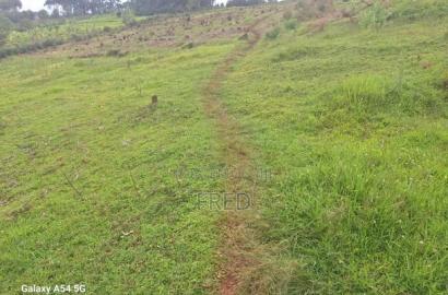 8 Acres in Gusii Settlement Scheme Boorabu