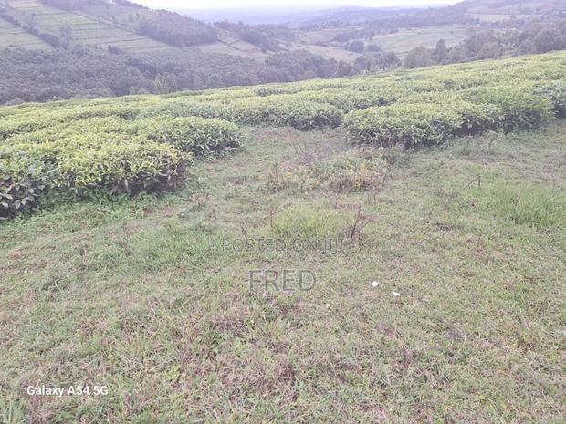 8 Acres in Gusii Settlement Scheme Boorabu